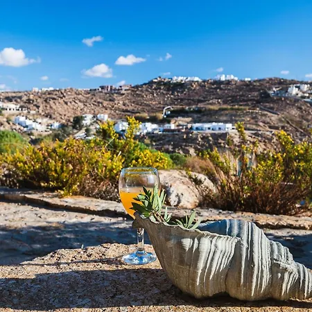 别墅 Beyond Beachfront Super Paradise Mykonos Town