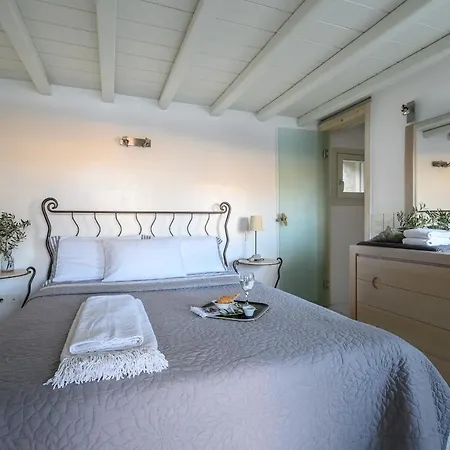 别墅 Beyond Beachfront Super Paradise Mykonos Town
